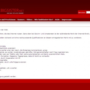 Big Sister Media