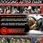 Dogging After Dark