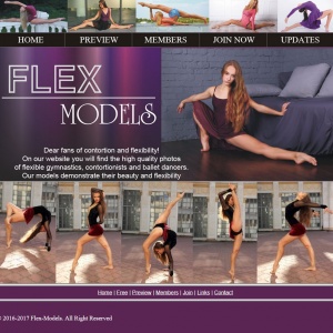 Flex Models